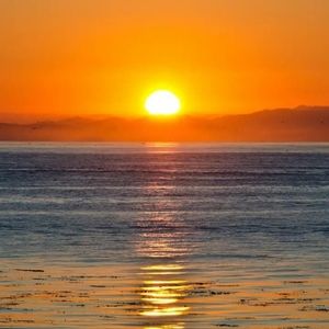 Meet your Posher, Abraham as